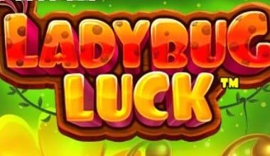 Ladybug Luck